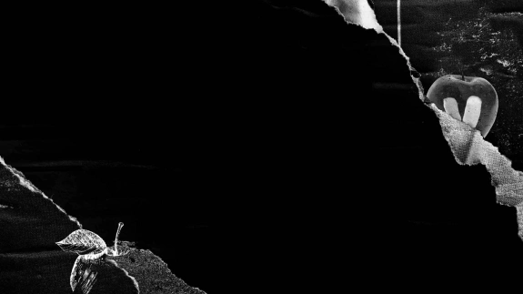 Two Decades of Innovation